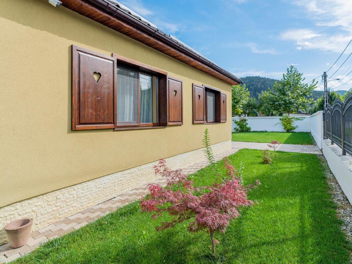Hotel Casa Saraste Râșnov Zewnętrze zdjęcie